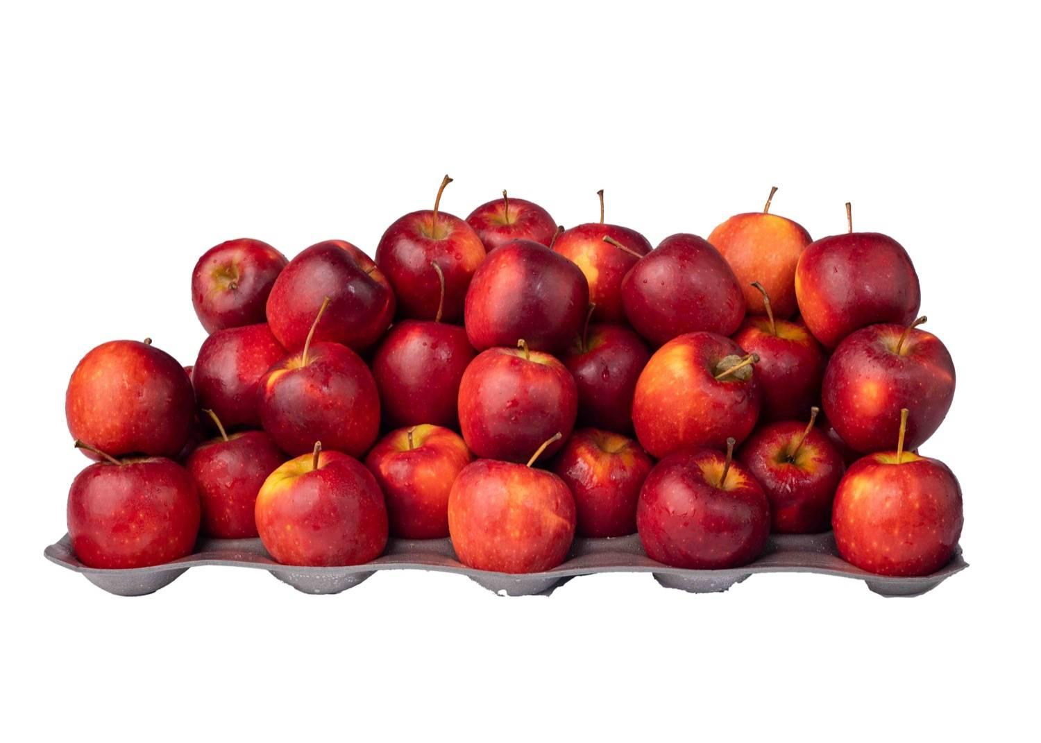 Micro Apple Red Apples - Red | Pricepally